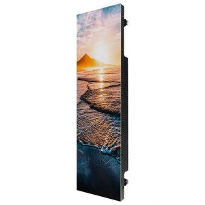 Màn hình cho sân vận động Indoor P2.0 IF020R-F